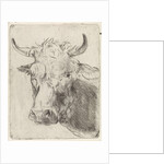 Ox head, left by Pieter Janson