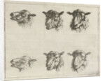 Study Sheet with six sheep ' by Johannes Janson