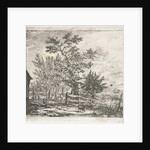 Dog in yard by Gerardus Emaus de Micault