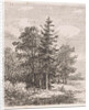 Fishing for a group of trees by Johannes Pieter van Wisselingh