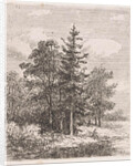 Fishing for a group of trees by Johannes Pieter van Wisselingh