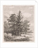 Fishing for a group of trees by Johannes Pieter van Wisselingh