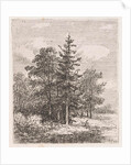 Fishing for a group of trees by Johannes Pieter van Wisselingh