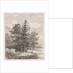 Fishing for a group of trees by Johannes Pieter van Wisselingh