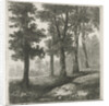 View of a forest by Hermanus Jan Hendrik van Rijkelijkhuysen