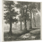View of a forest by Hermanus Jan Hendrik van Rijkelijkhuysen