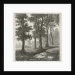 View of a forest by Hermanus Jan Hendrik van Rijkelijkhuysen