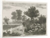 Ducks in a ditch by Hermanus Jan Hendrik van Rijkelijkhuysen