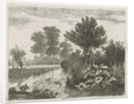 Ducks in a ditch by Hermanus Jan Hendrik van Rijkelijkhuysen