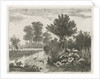 Ducks in a ditch by Hermanus Jan Hendrik van Rijkelijkhuysen