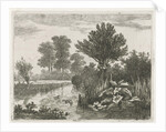Ducks in a ditch by Hermanus Jan Hendrik van Rijkelijkhuysen