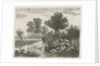 Ducks in a ditch by Hermanus Jan Hendrik van Rijkelijkhuysen