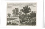 Ducks in a ditch by Hermanus Jan Hendrik van Rijkelijkhuysen