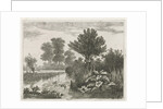 Ducks in a ditch by Hermanus Jan Hendrik van Rijkelijkhuysen