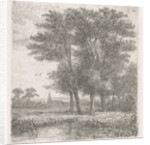 Four trees in a fen by Hermanus Jan Hendrik van Rijkelijkhuysen