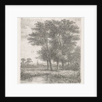 Four trees in a fen by Hermanus Jan Hendrik van Rijkelijkhuysen