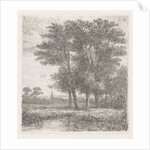 Four trees in a fen by Hermanus Jan Hendrik van Rijkelijkhuysen