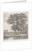 Four trees in a fen by Hermanus Jan Hendrik van Rijkelijkhuysen