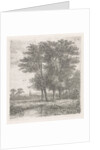Four trees in a fen by Hermanus Jan Hendrik van Rijkelijkhuysen