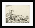 Two pigs lying near a fence by Paulus Potter