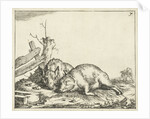 Two pigs lying near a fence by Paulus Potter