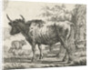 Standing cow with two sheep by Anthony Oberman