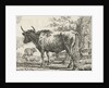 Standing cow with two sheep by Anthony Oberman