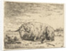Resting sheep by Karel Dujardin