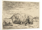 Resting sheep by Karel Dujardin