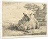 Sheep on a fence by Karel Dujardin