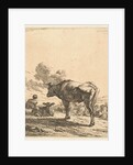 Shepherd with an ox and calf in a village by Karel Dujardin