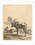 Shepherd with an ox and calf in a village by Karel Dujardin