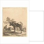 Shepherd with an ox and calf in a village by Karel Dujardin