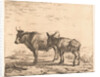 Ox and donkey by Karel Dujardin