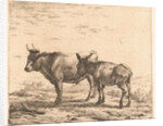 Ox and donkey by Karel Dujardin