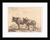Ox and donkey by Karel Dujardin