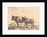Ox and donkey by Karel Dujardin