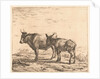 Ox and donkey by Karel Dujardin