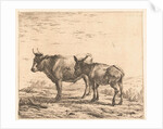 Ox and donkey by Karel Dujardin