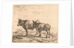 Ox and donkey by Karel Dujardin