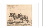 Ox and donkey by Karel Dujardin