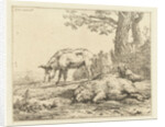 Three pigs in a hedge by Karel Dujardin