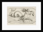 Female figure blowing on a conch by Justus Danckerts
