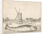 Cod caught in 't Spaarne by Cornelis van Noorde
