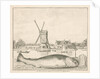 Cod caught in 't Spaarne by Cornelis van Noorde