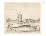 Cod caught in 't Spaarne by Cornelis van Noorde