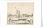 Cod caught in 't Spaarne by Cornelis van Noorde