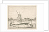 Cod caught in 't Spaarne by Cornelis van Noorde
