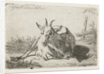 Lying goat, left by Jacobus Cornelis Gaal