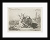 Lying goat, left by Jacobus Cornelis Gaal